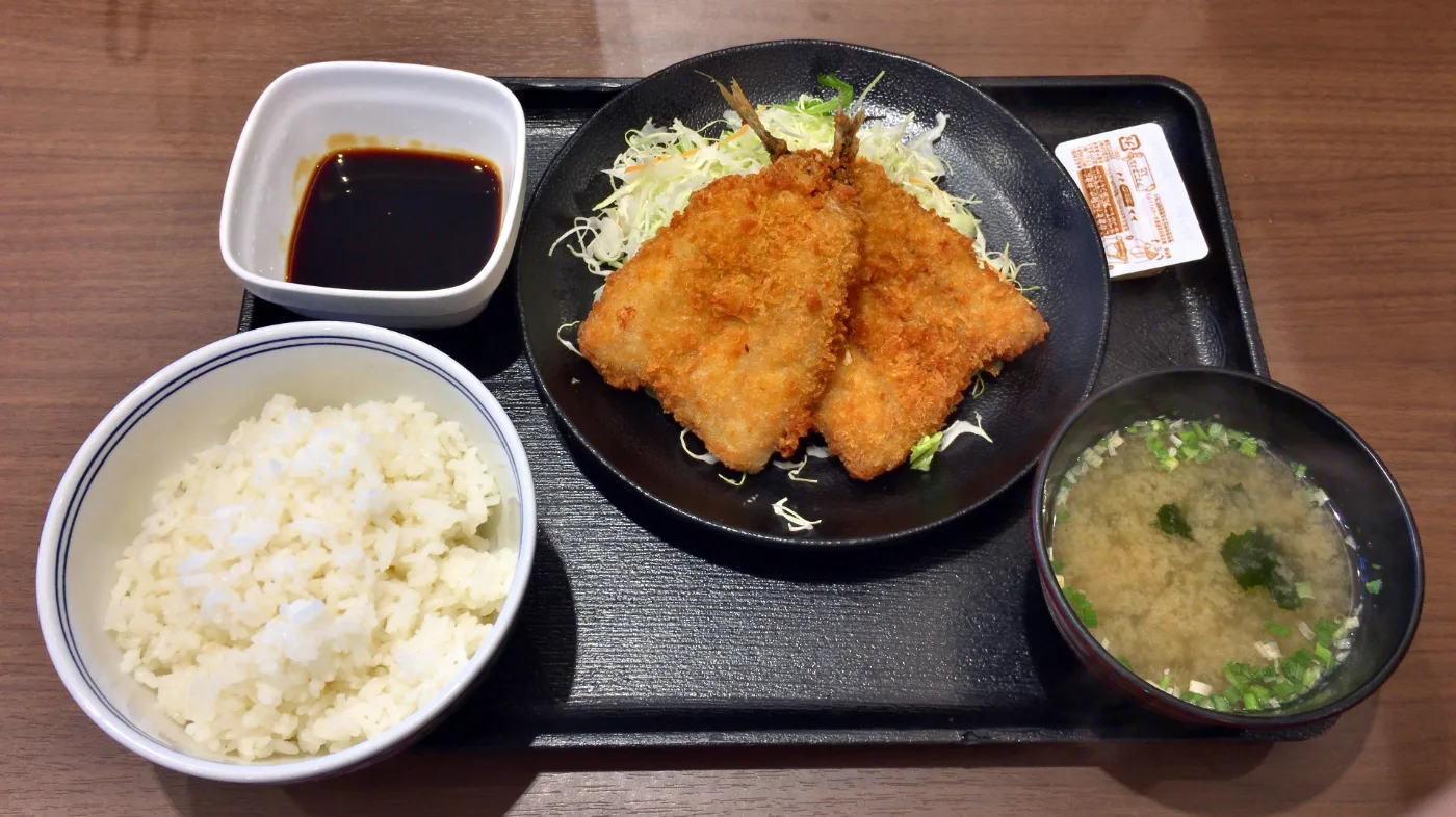 サビキ釣りの始め方 ― アジ・イワシを手軽に釣るコツ