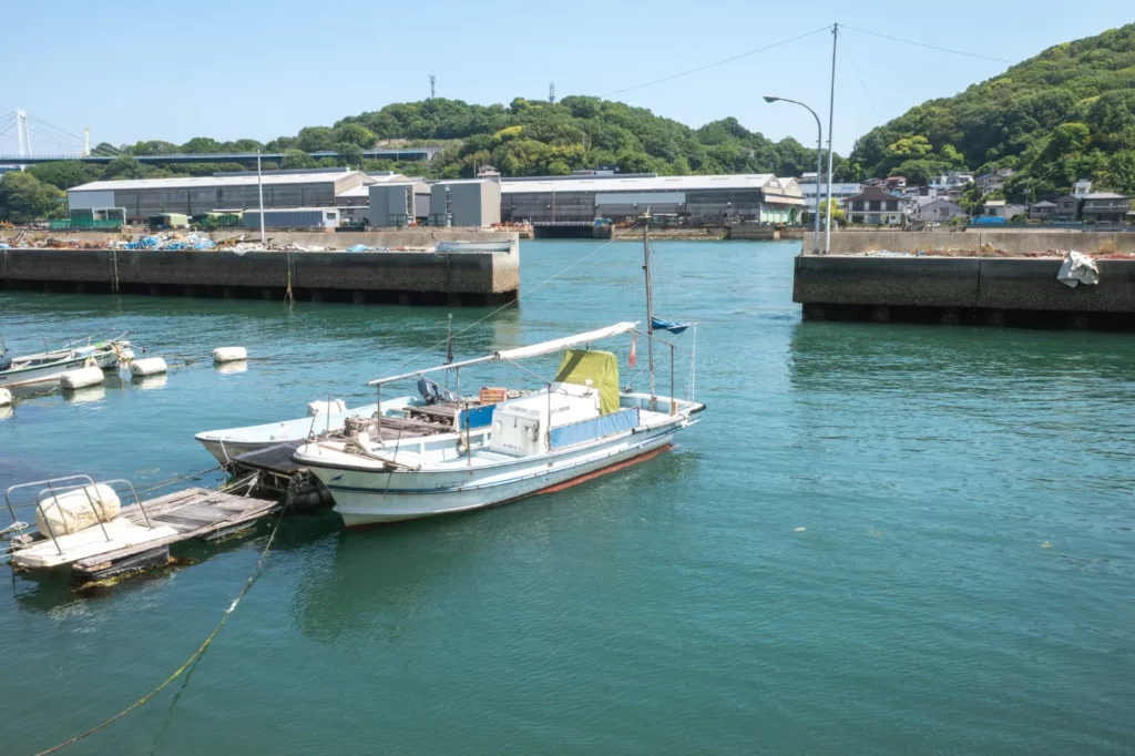 サビキ釣りで釣れたアジ